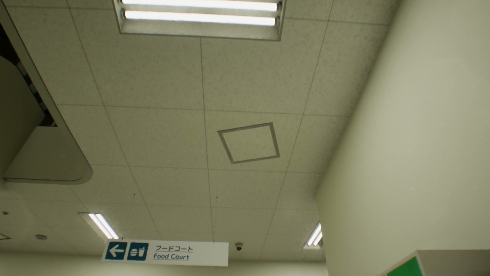 False_Mall_anomaly_9_3