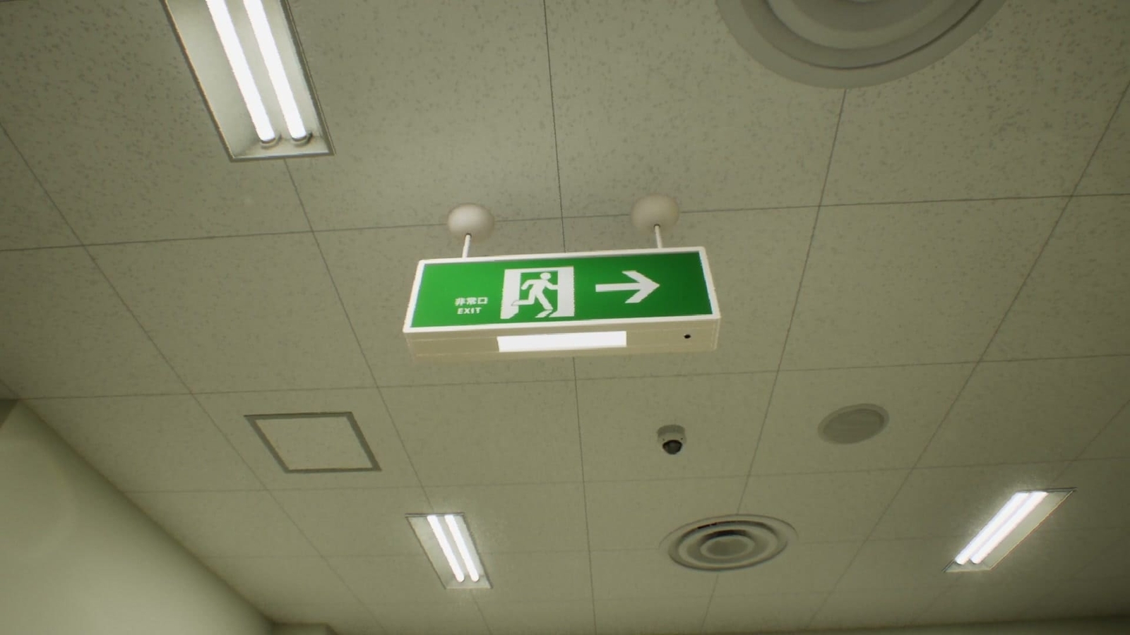 False_Mall_anomaly_29_2