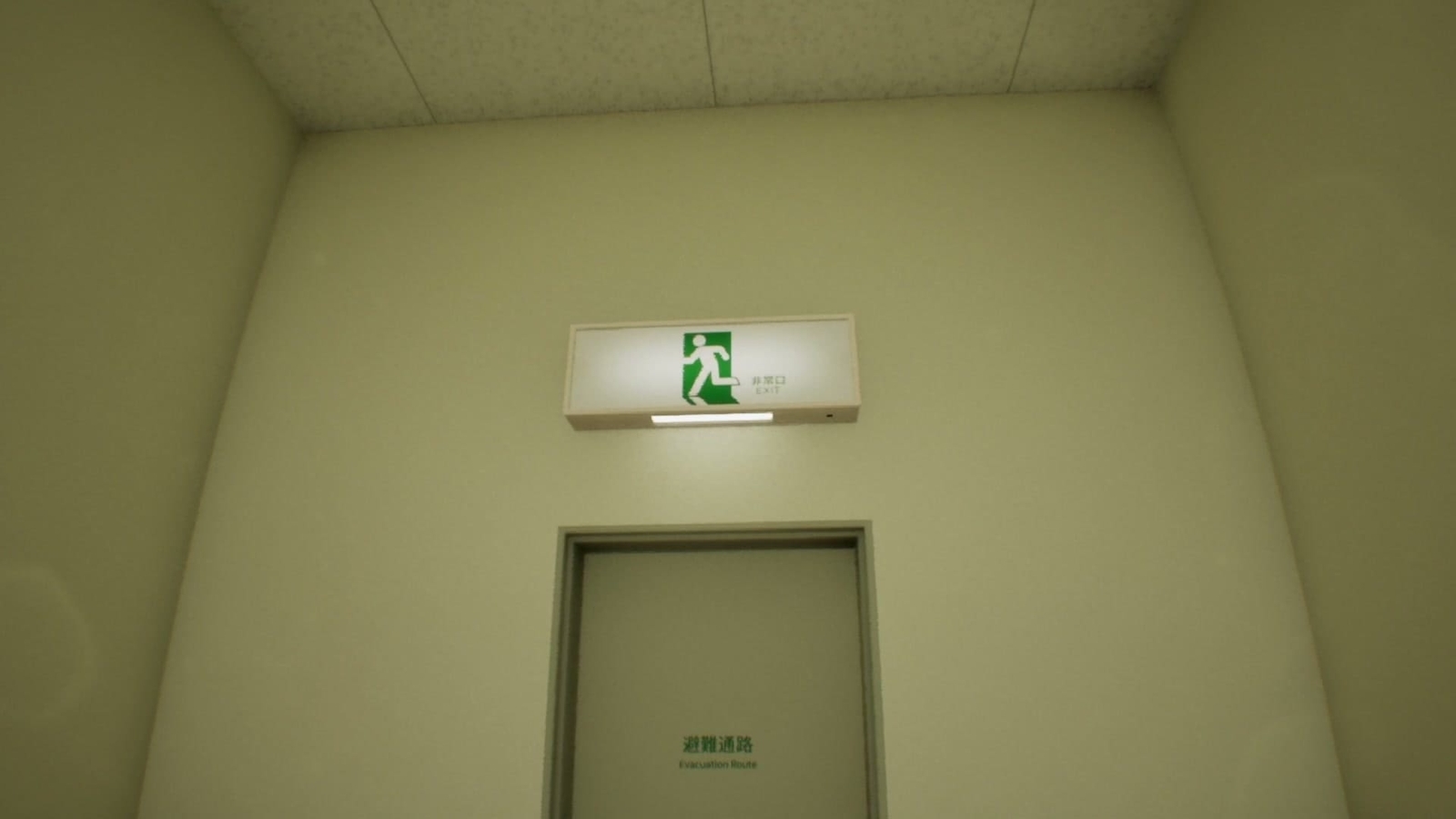 False_Mall_anomaly_29_4