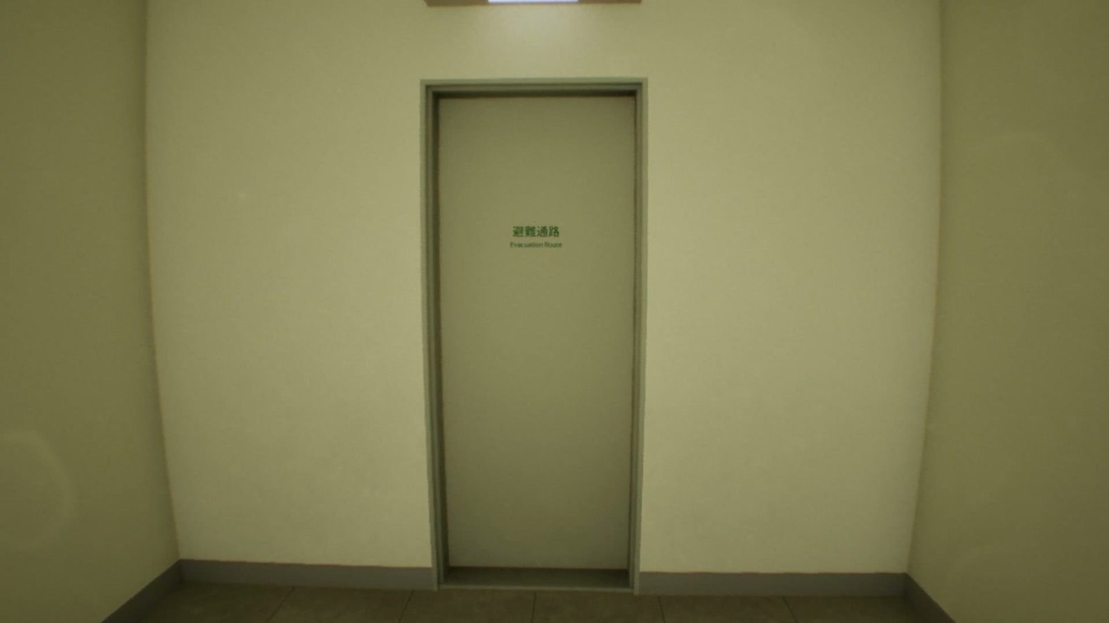False_Mall_anomaly_31