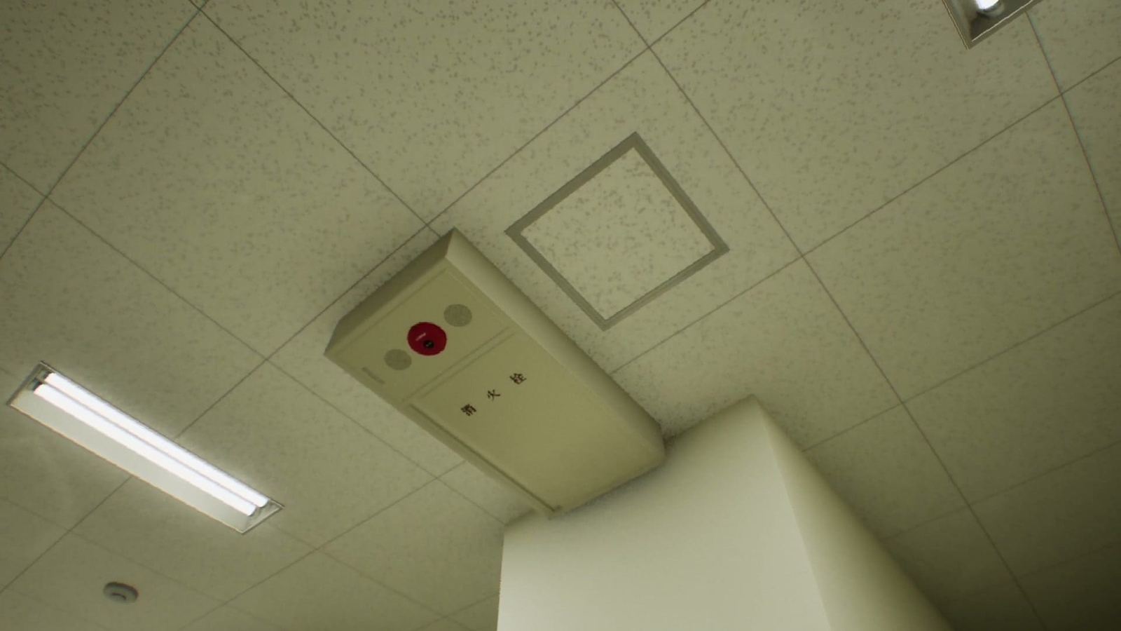 False_Mall_anomaly_33