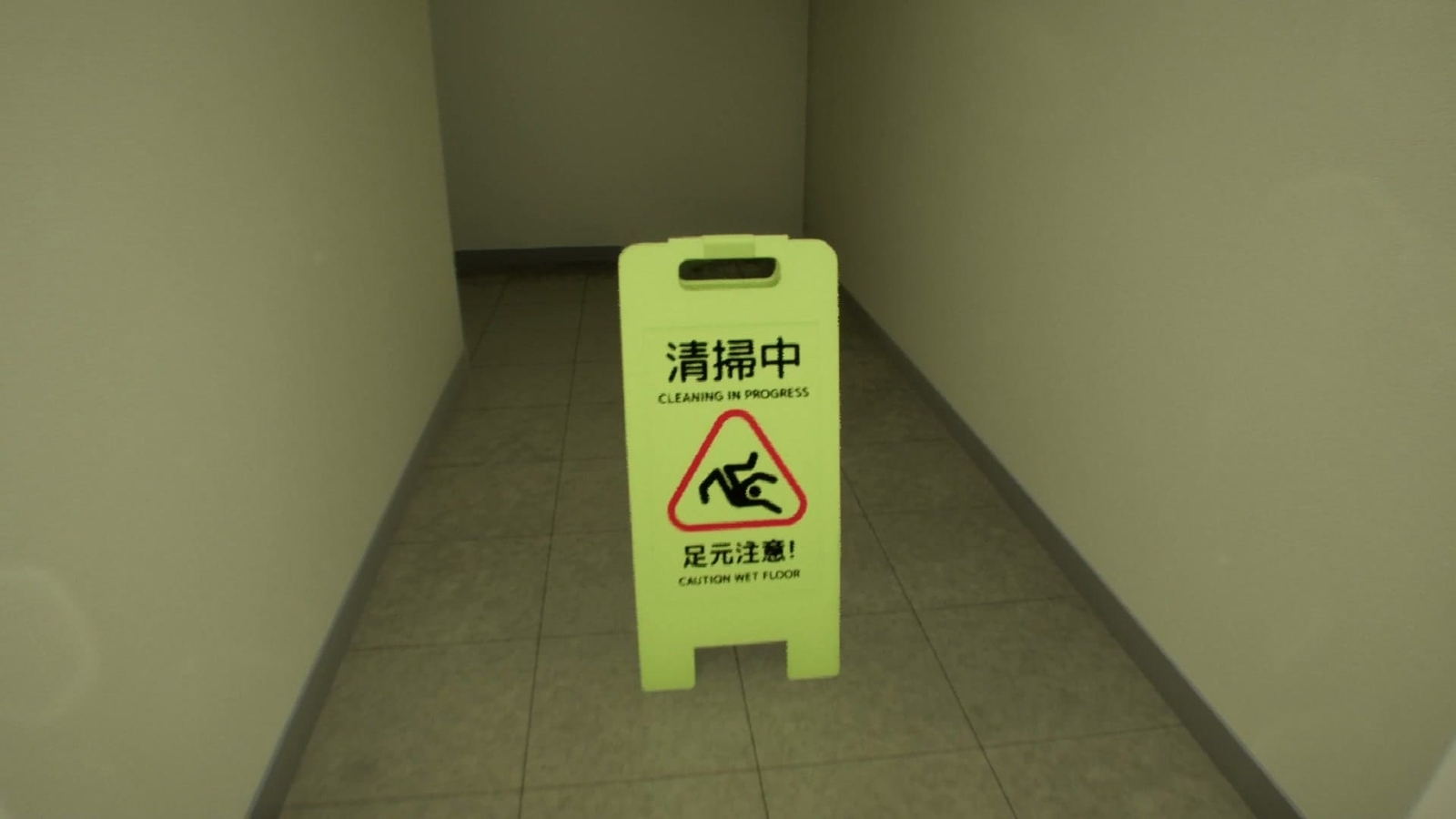 False_Mall_anomaly_51_2