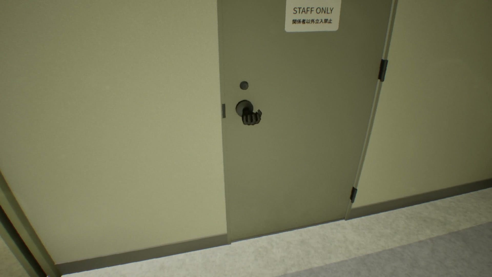 False_Mall_anomaly_57