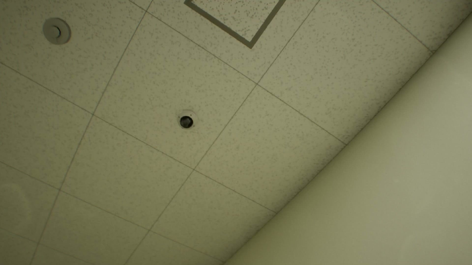 False_Mall_anomaly_60