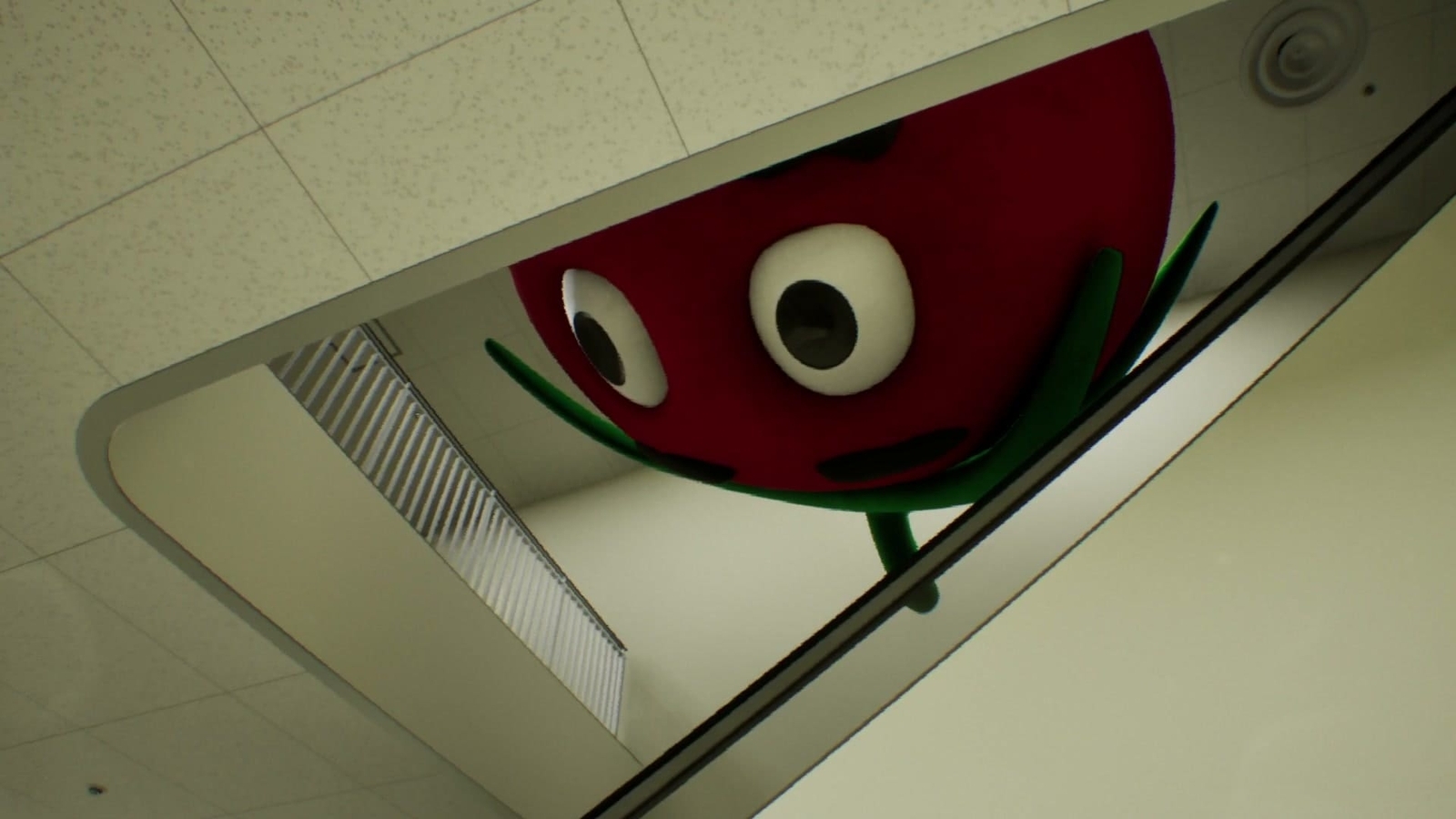 False_Mall_anomaly_66