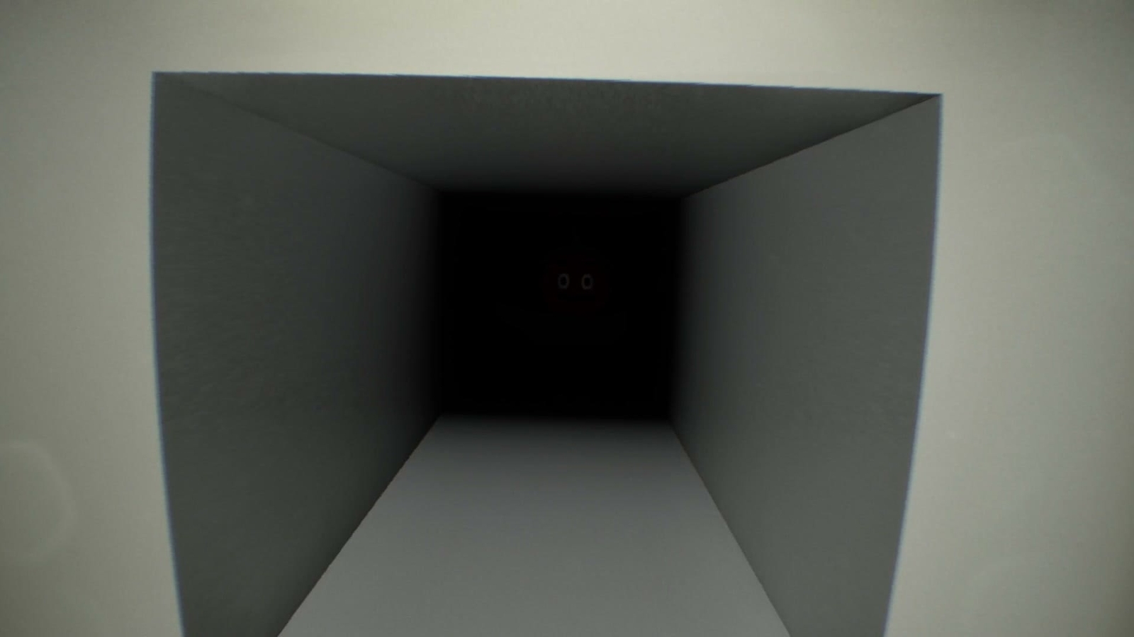 False_Mall_anomaly_70