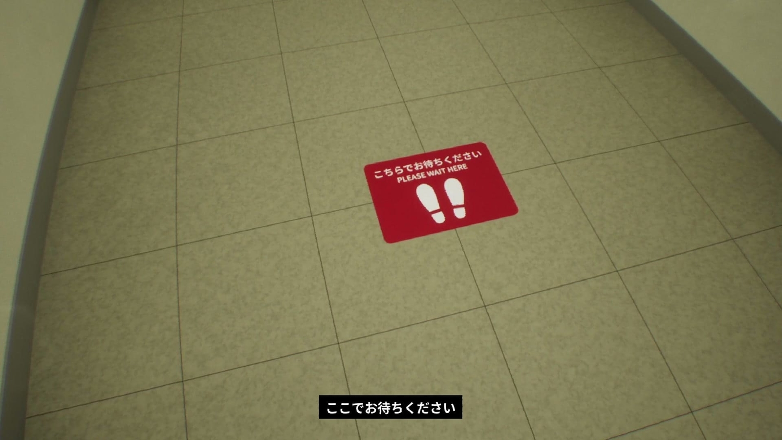 False_Mall_anomaly_73