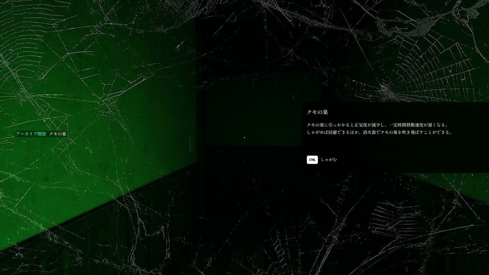 School_Labyrinth_old_spider_web_2