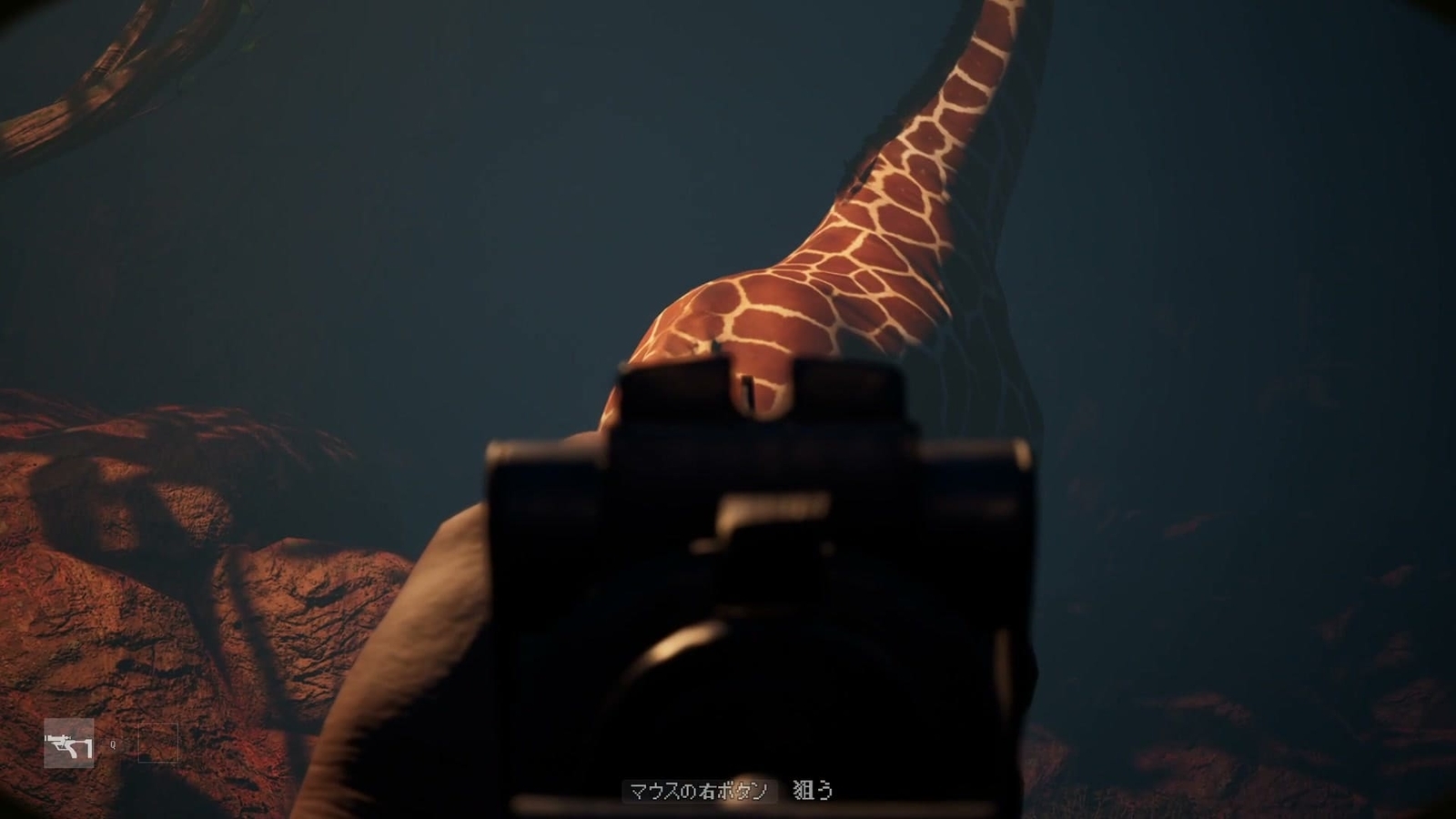 Zoochosis_shoot_poe
