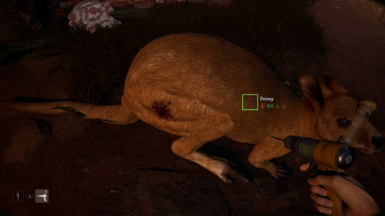 Zoochosis_blood_sampling
