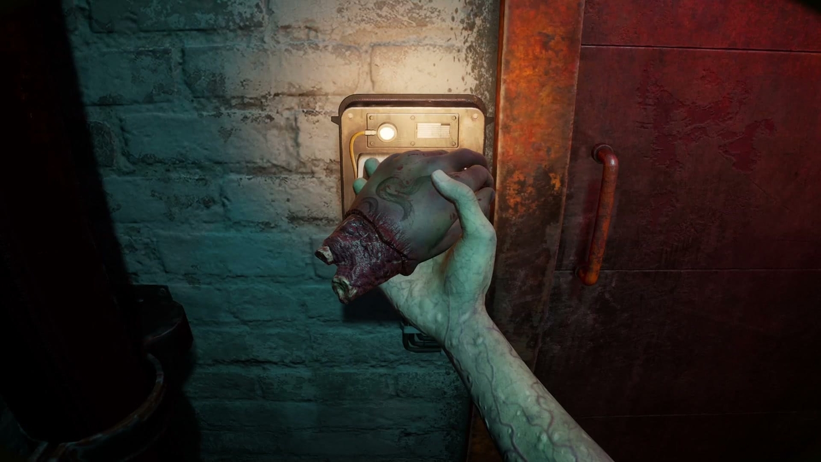 Zoochosis_use_hand