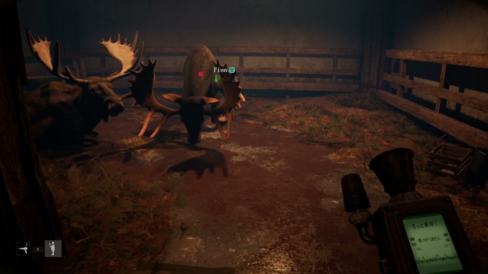 Zoochosis_moose