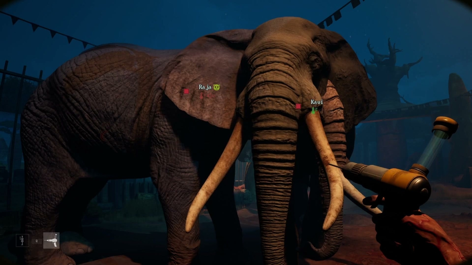 Zoochosis_elephant