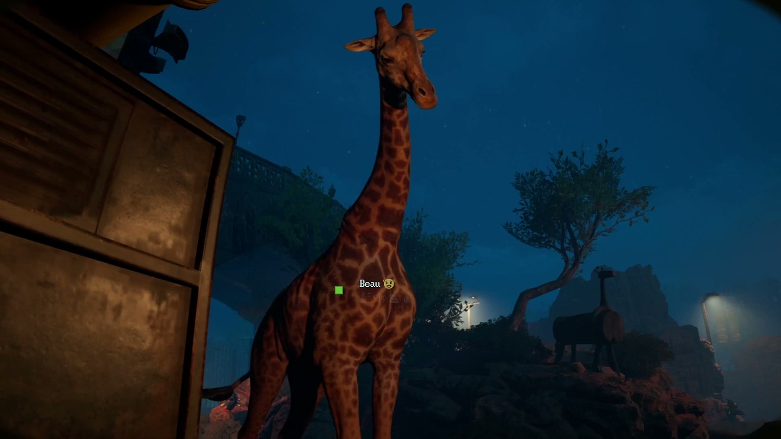 Zoochosis_giraffe