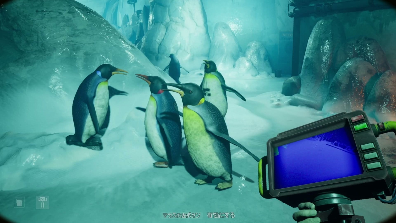 Zoochosis_penguin