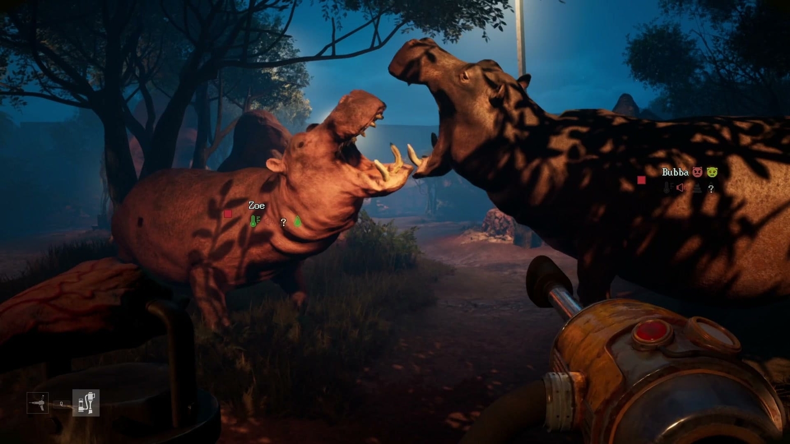 Zoochosis_hippopotamus
