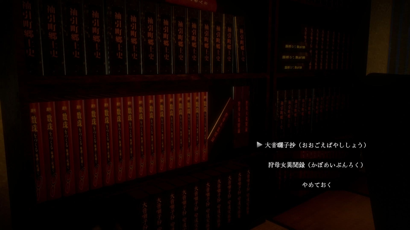 Kusodeka_Bayashi_bookshelf