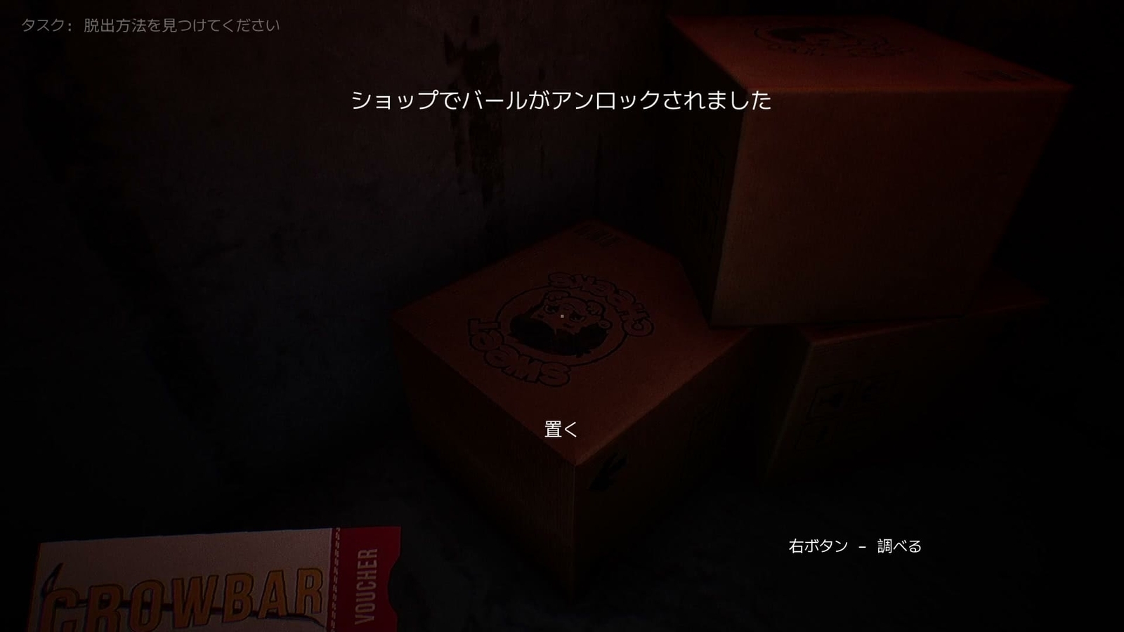Dollmare_coupon_2