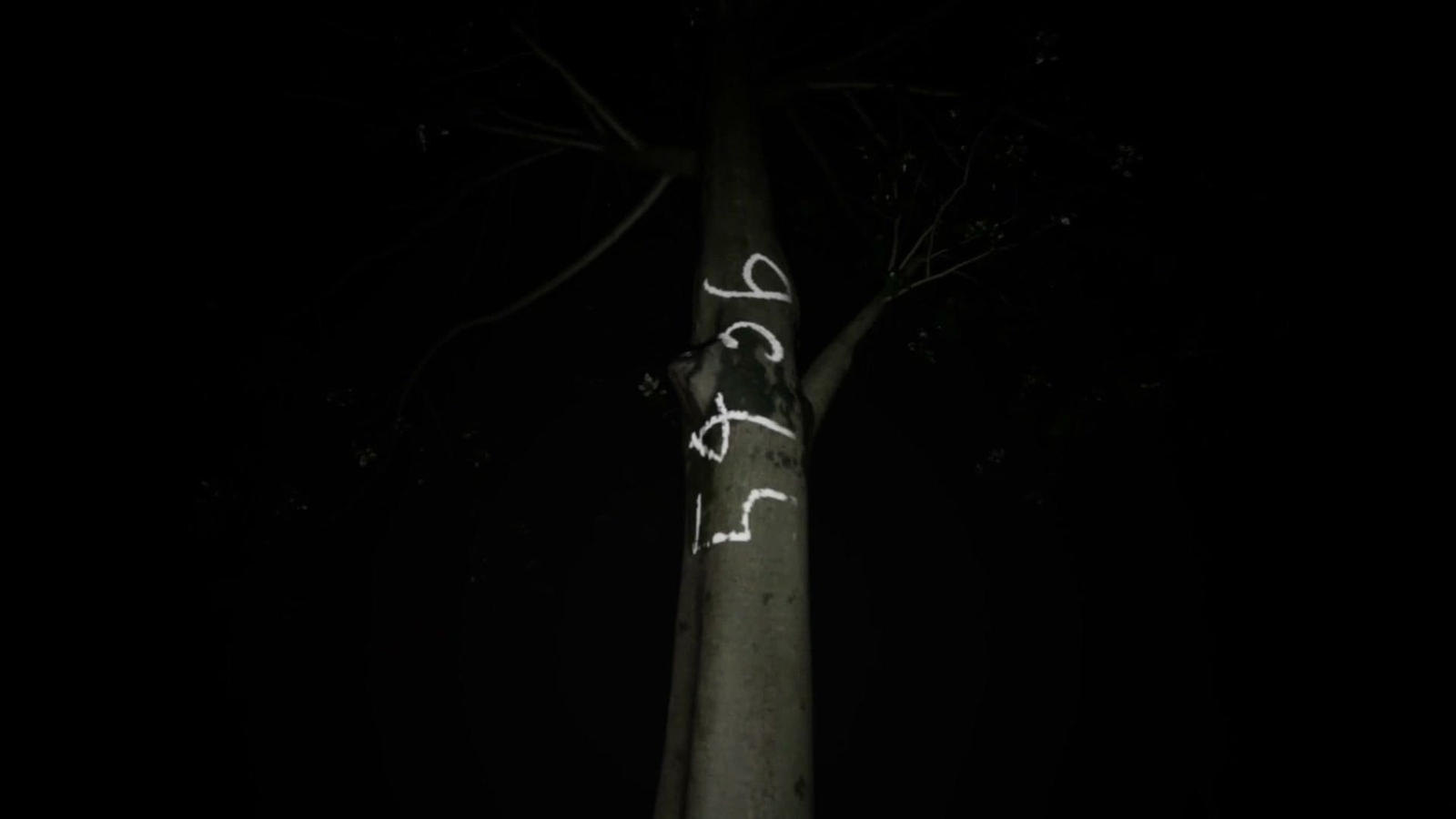 Cursed_Digicam_photo_2_6_1