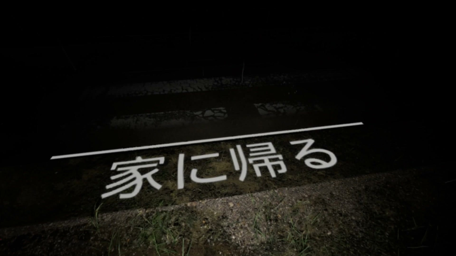 Cursed_Digicam_go_home