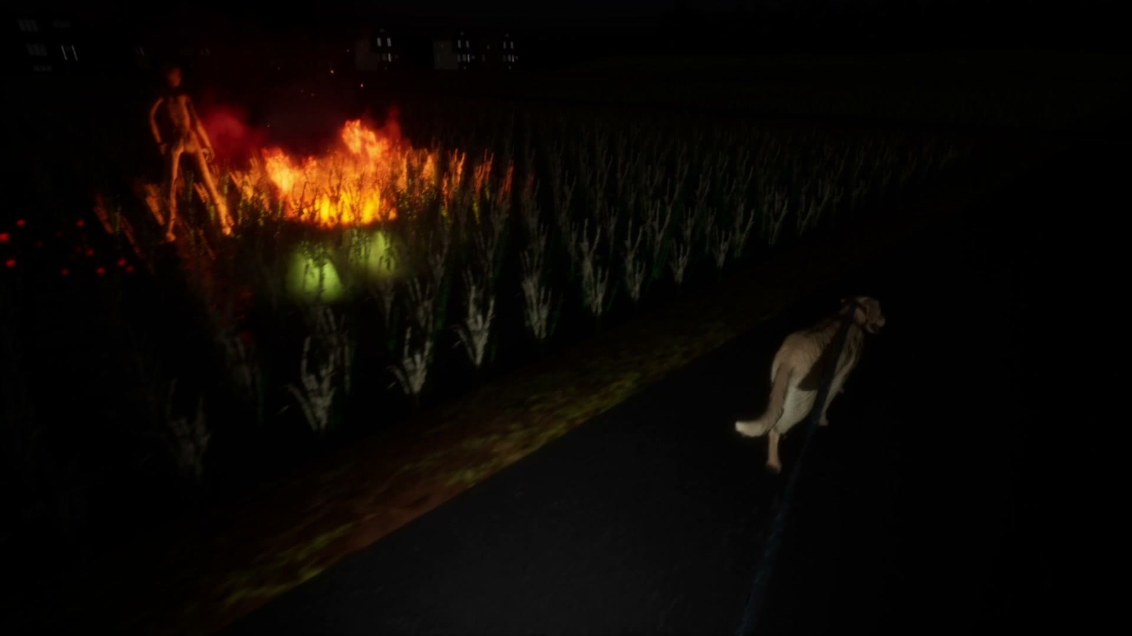 The_Paddy_Field_day_3_burning_3