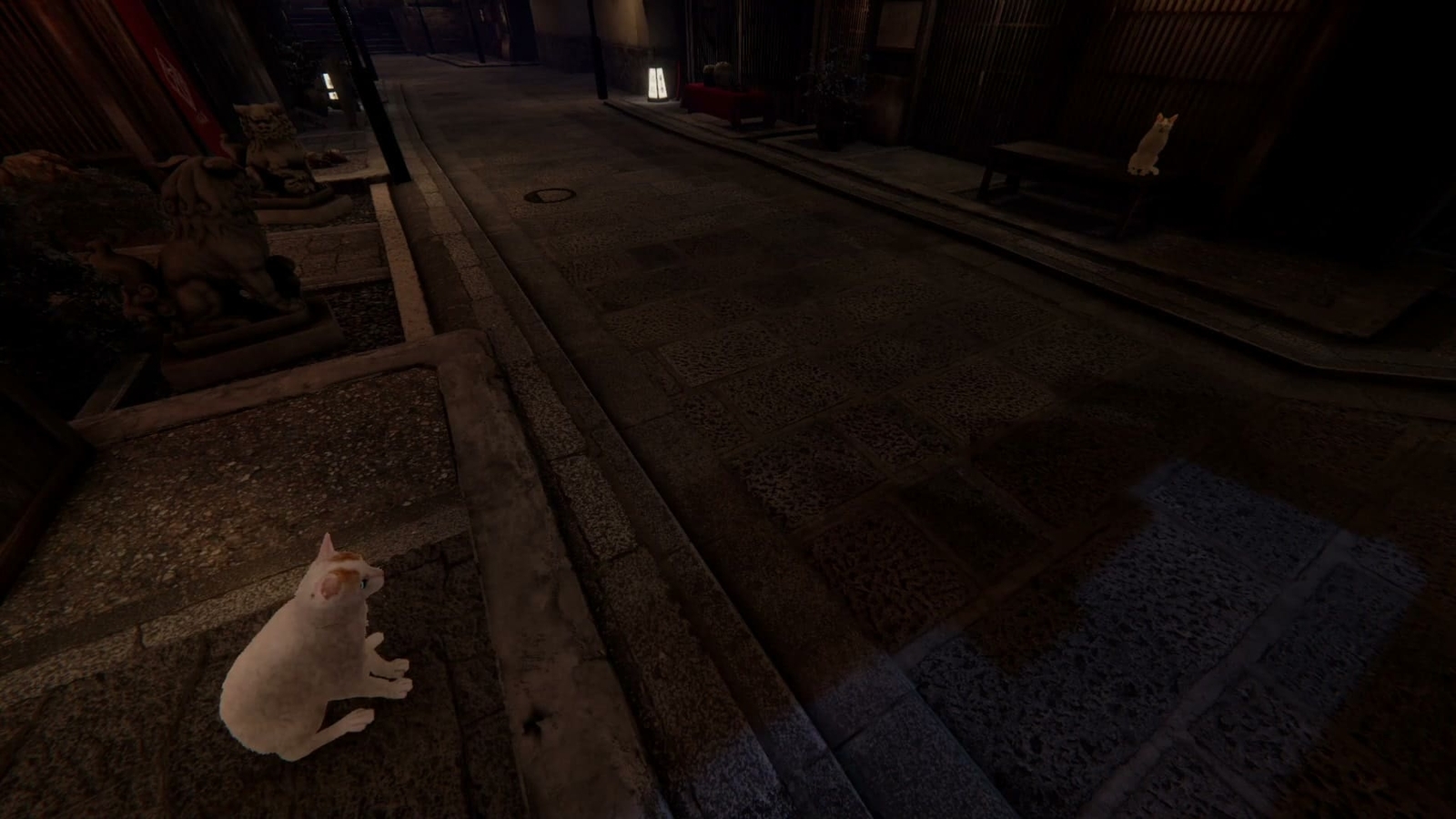 Kyoto_Anomaly_anomaly_29