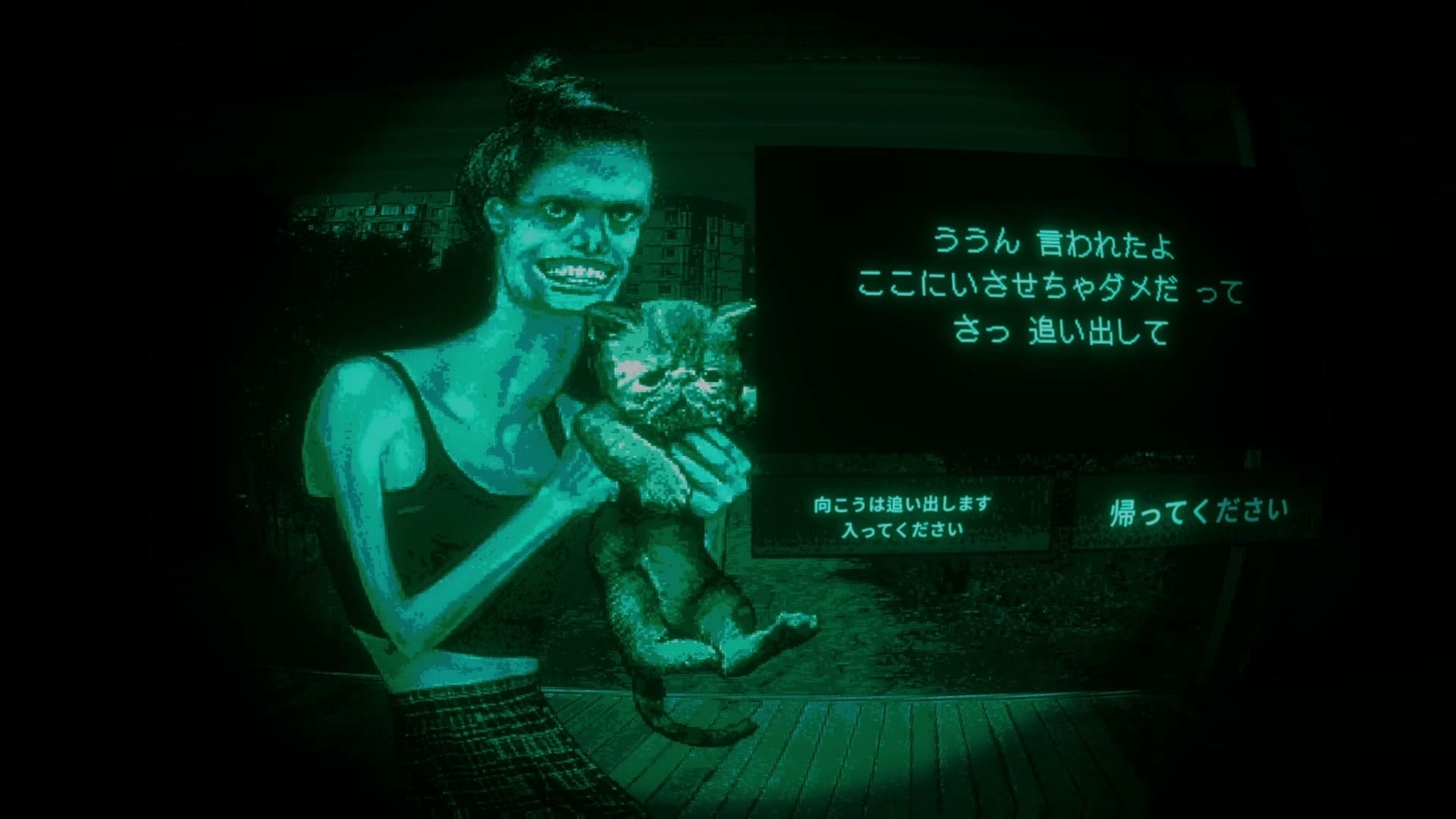 No_Im_Not_A_Human_cat_lady