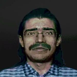 No_Im_Not_A_Human_stranger_Theorist