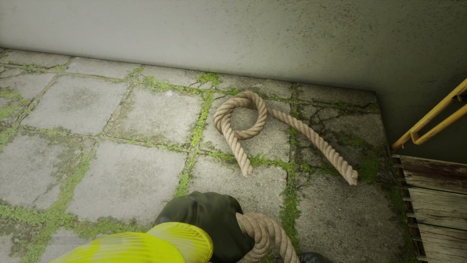 Escape_the_Backrooms_Grassrooms_rope