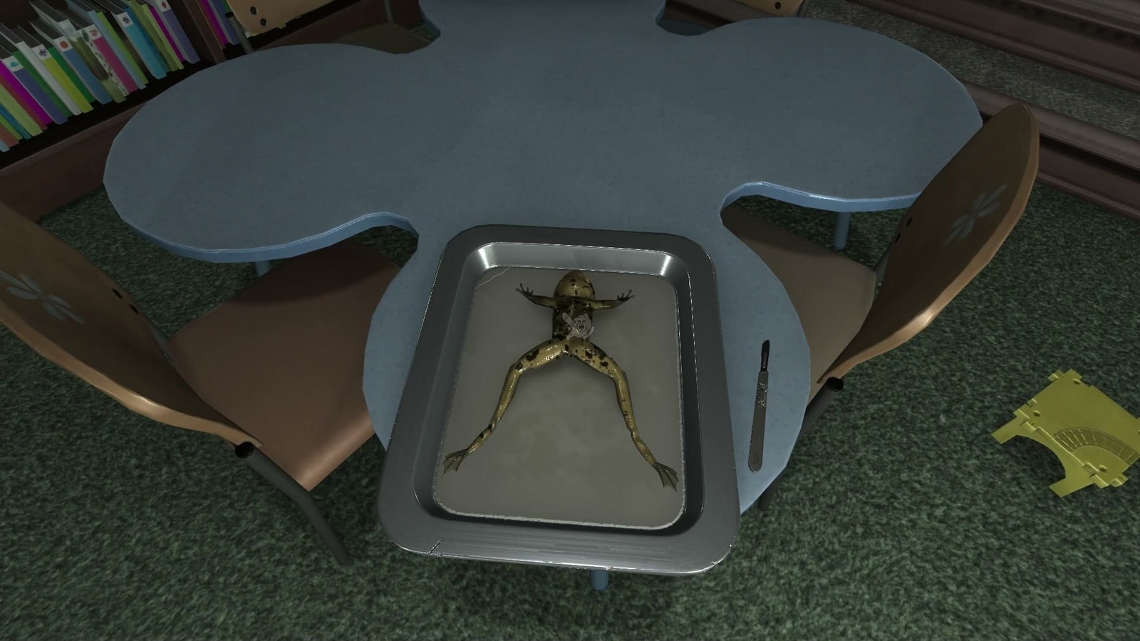 Amanda_the_Adventurer_2_frog_and_scalpel