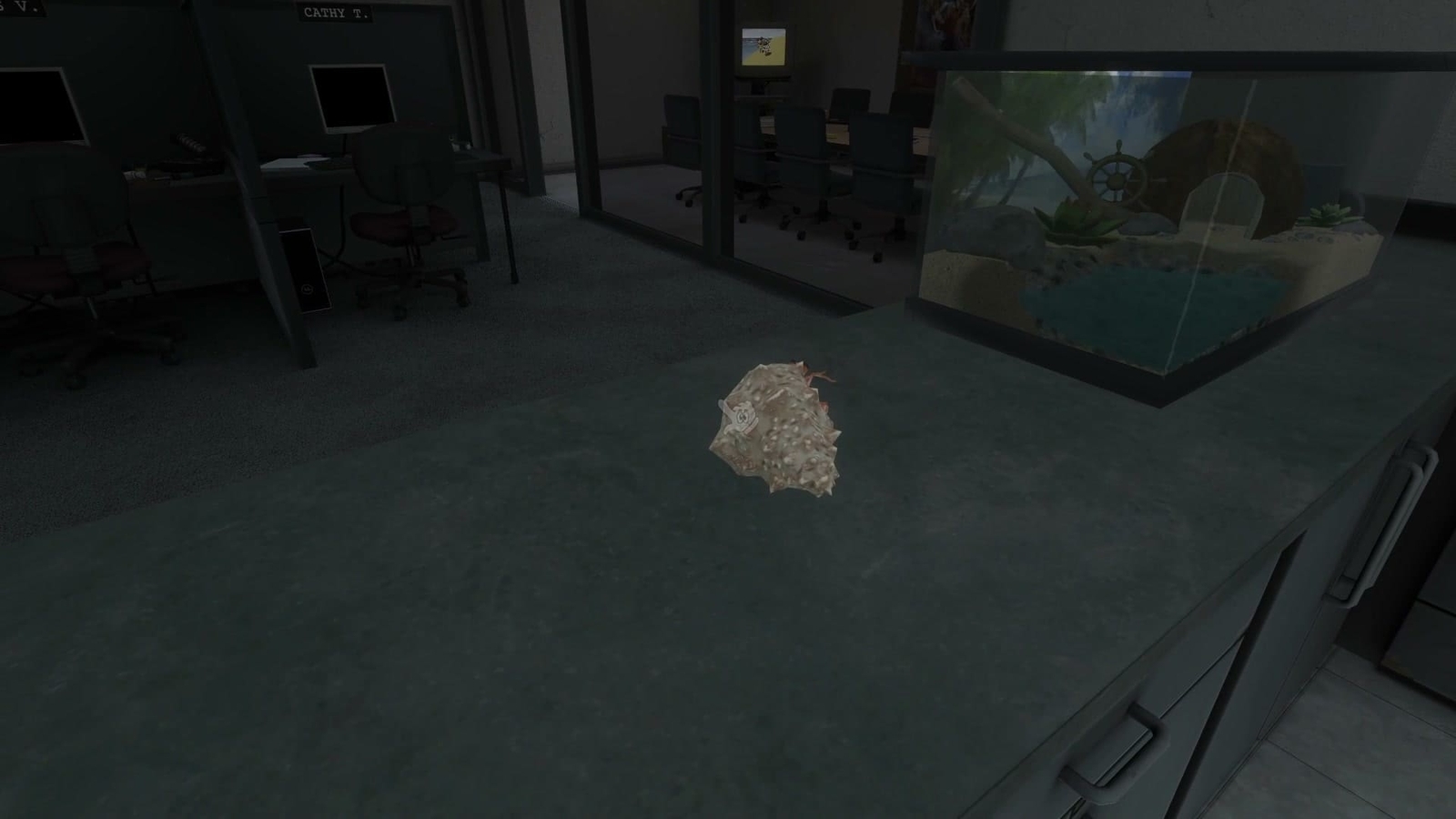 Amanda_the_Adventurer_3_hermit_crab
