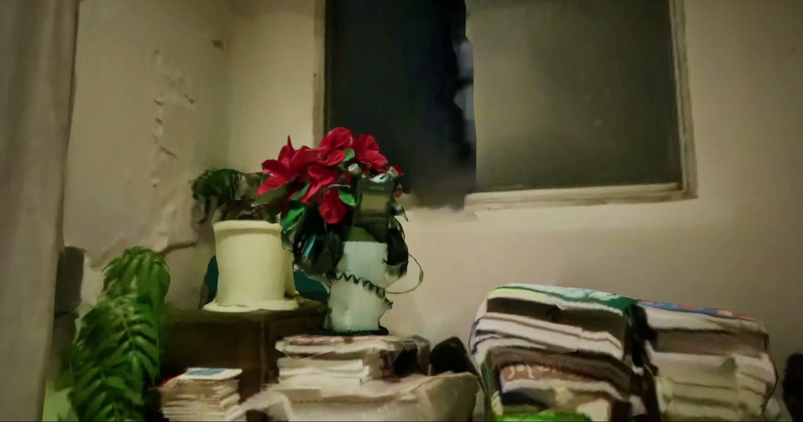 Yugen_Company_Warashi_Real_Estate_flower_pot