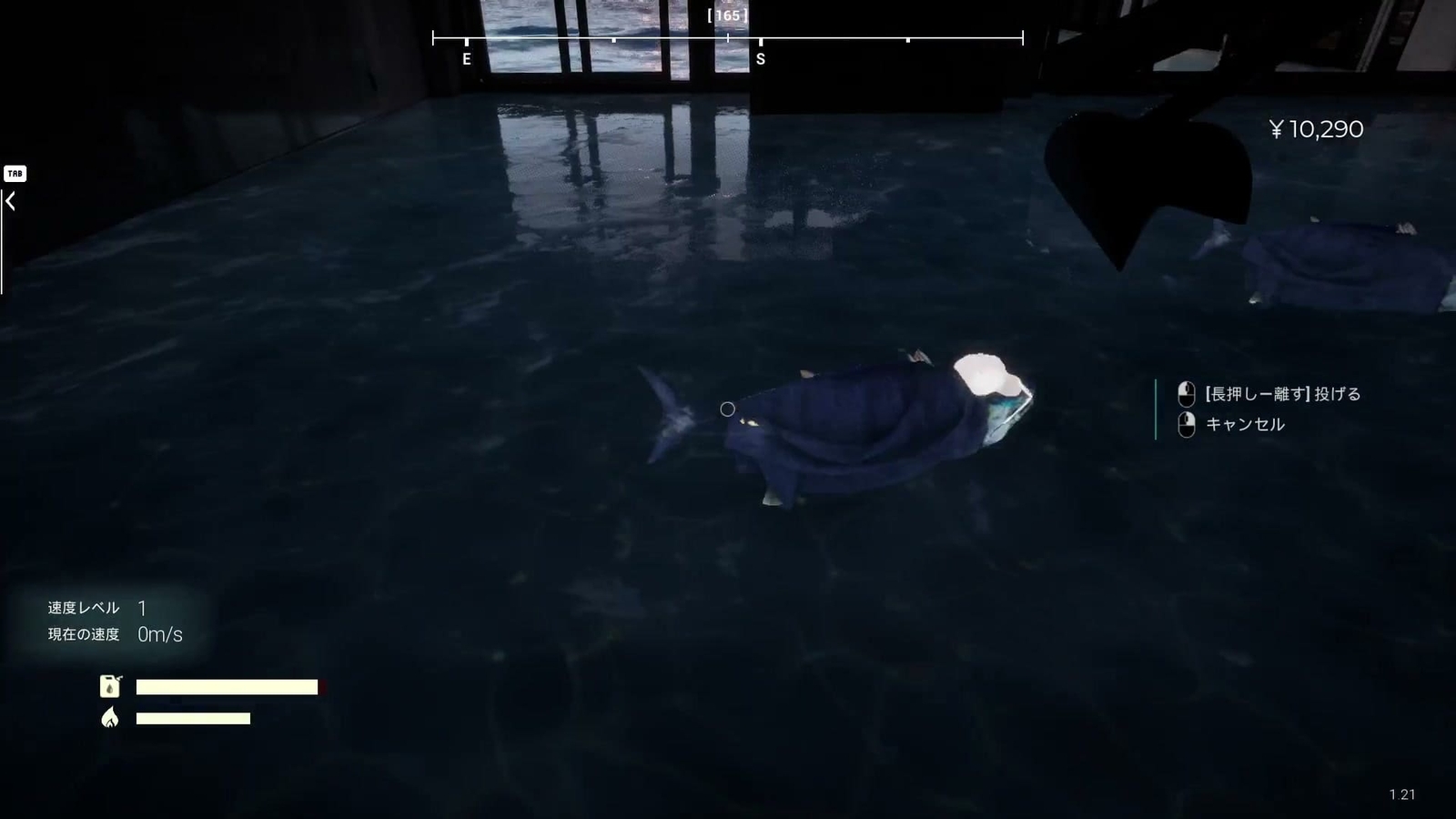 Umigari_kimyona_high_school_cap_fish