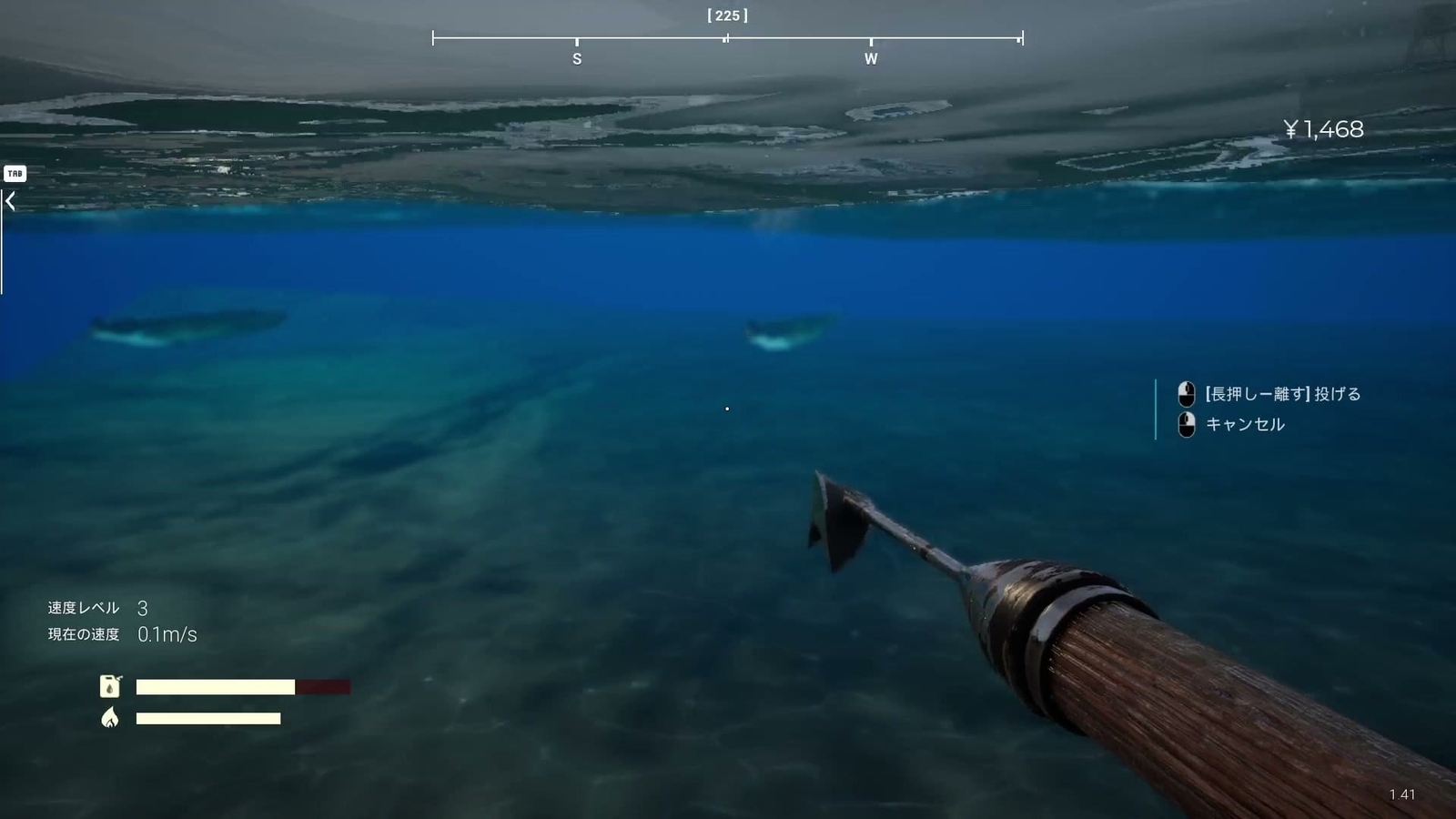 Umigari_ayashigena_dome_catfish