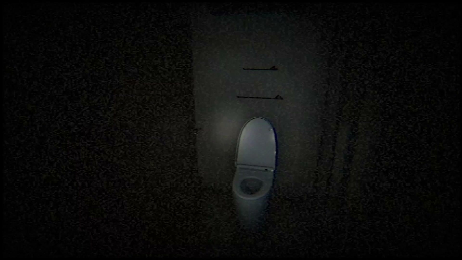 Okaeri_toilet_2