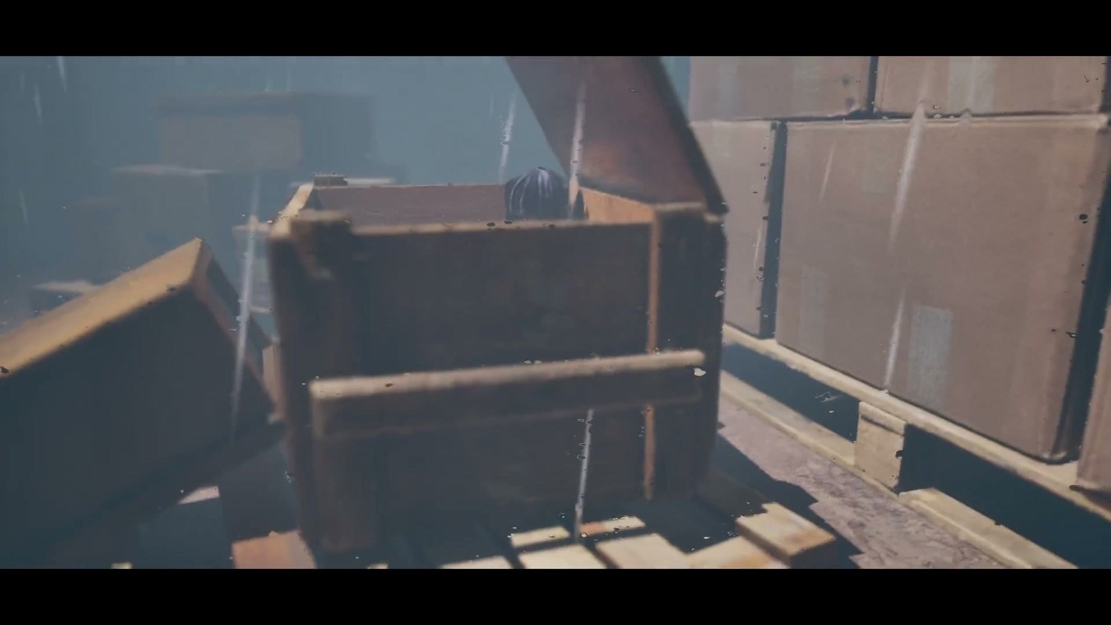 Doll_is_Back_box_in