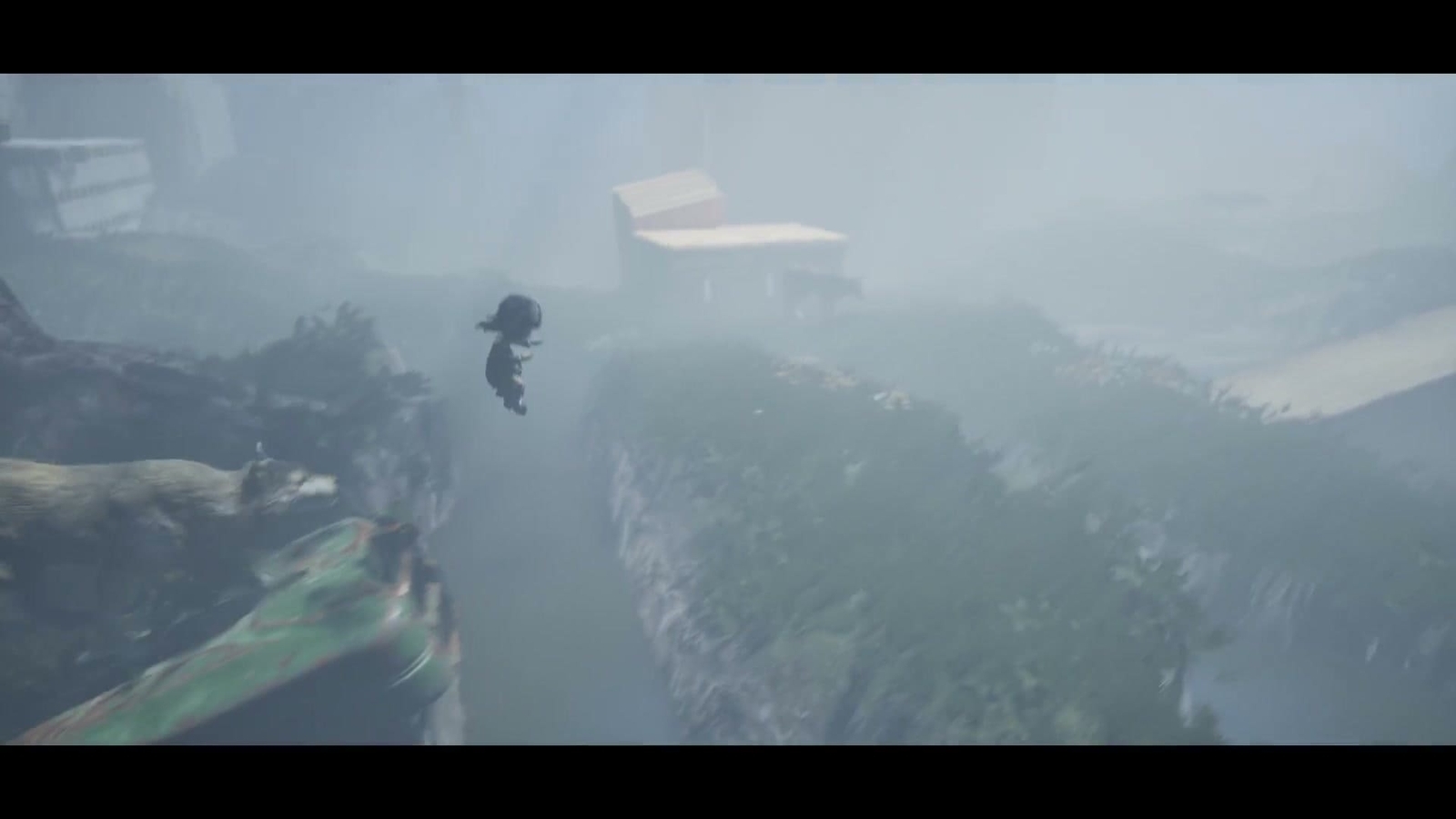 Doll_is_Back_dog_jump_1