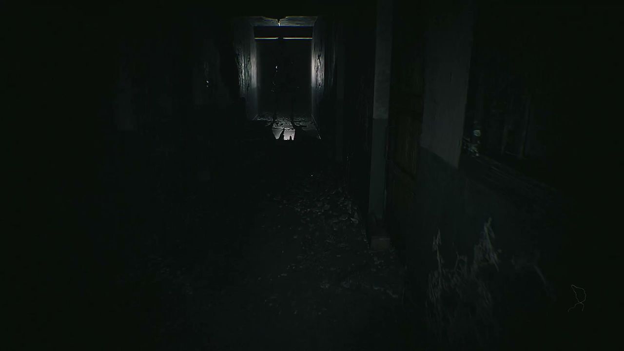 HARITI_chase_1_1