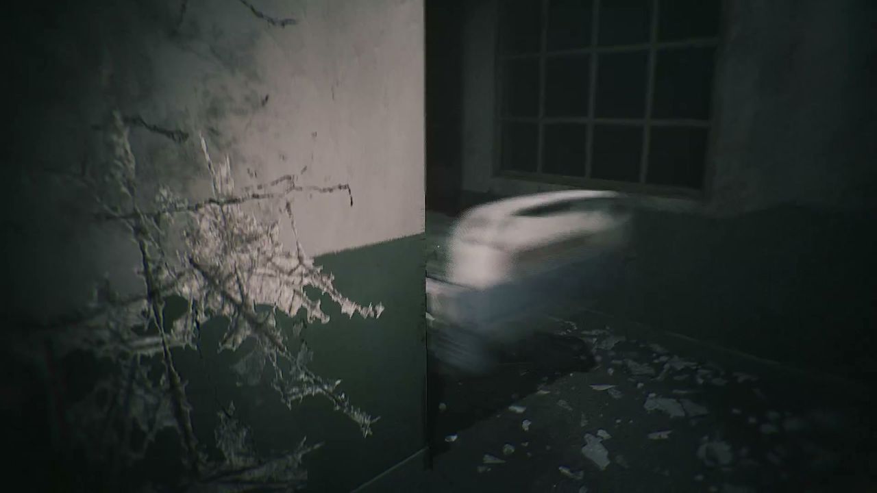 HARITI_chase_1_4
