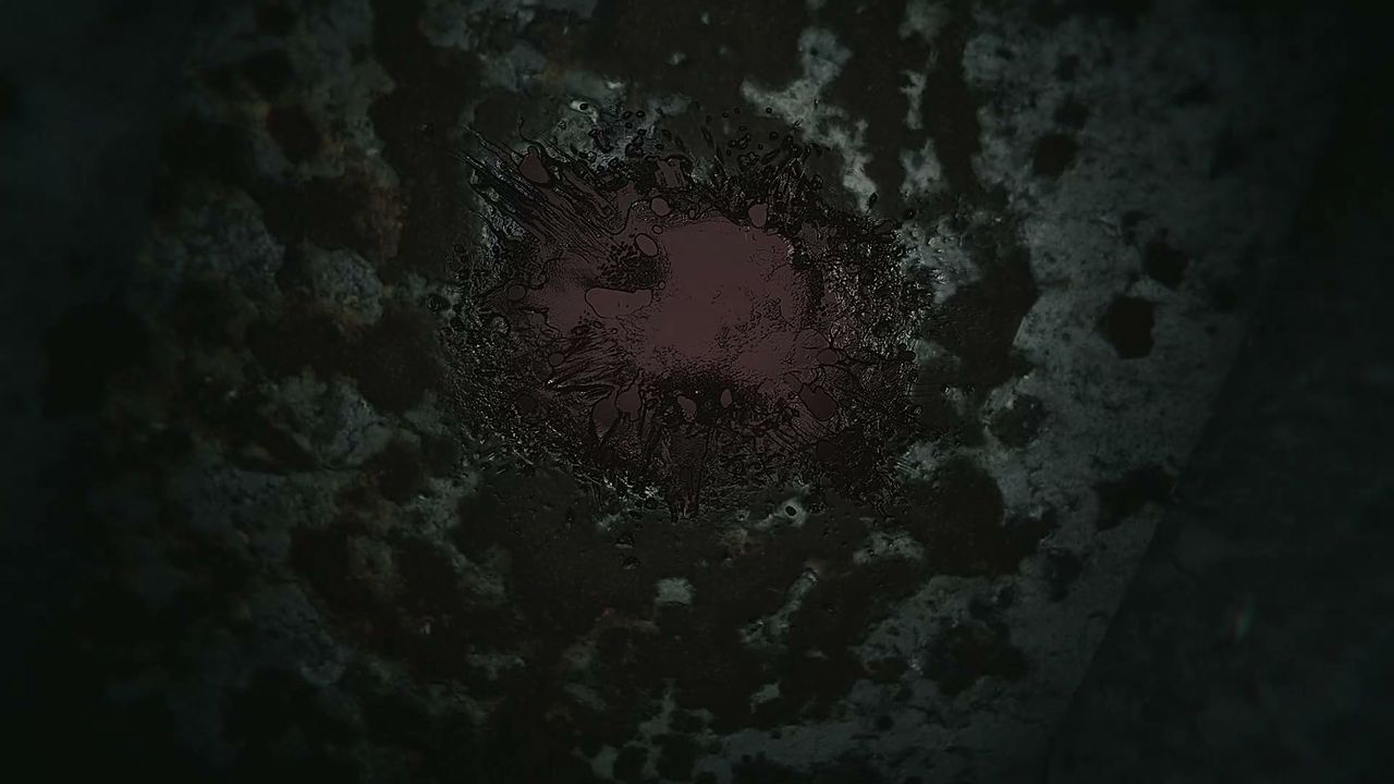 HARITI_ceiling