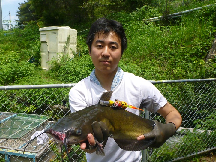 f:id:smartlure:20180113222030j:plain