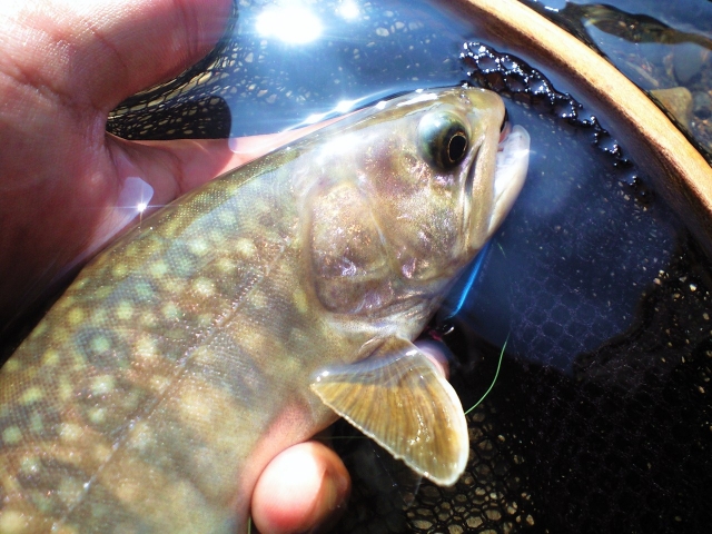 f:id:smartlure:20180205115023j:plain