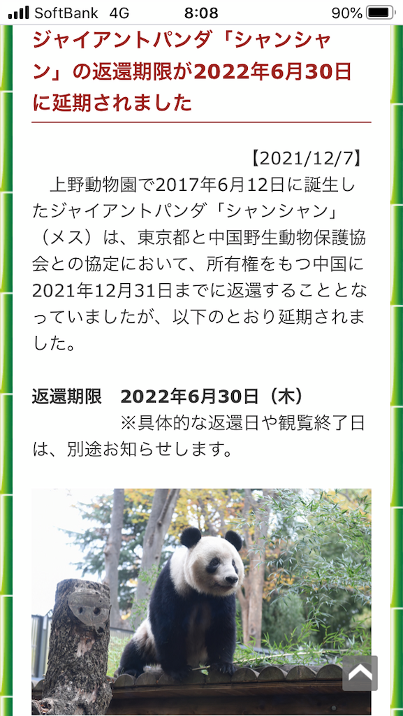 f:id:smartyorkie:20211222225224p:image f:id:smartyorkie:20211222225224p:image