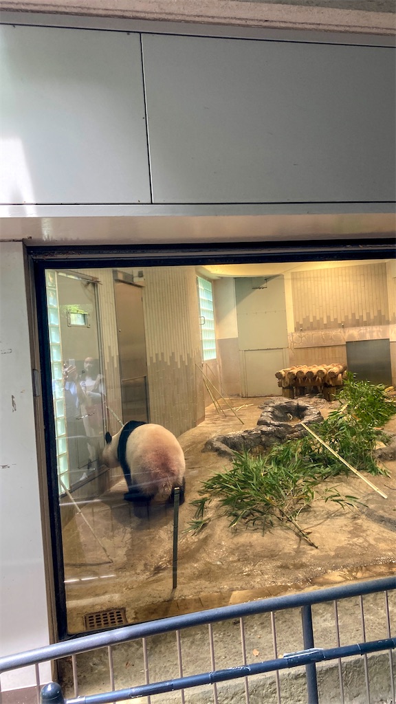 f:id:smartyorkie:20220611210722j:image f:id:smartyorkie:20220611210722j:image