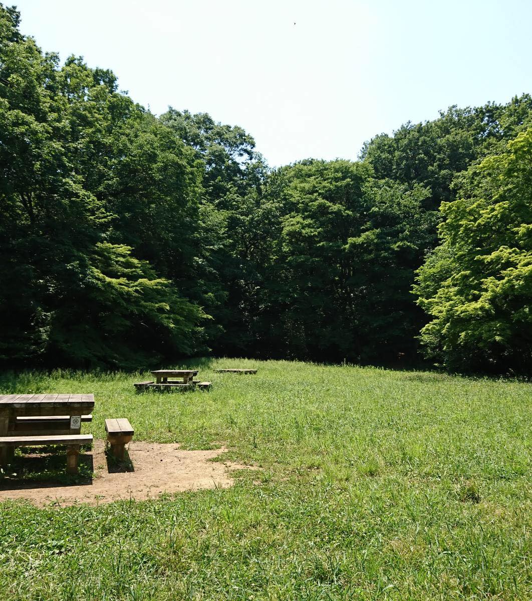 八国山緑地 トレラン