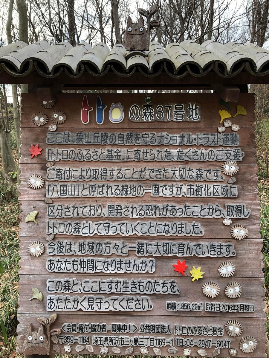 八国山緑地 トレラン