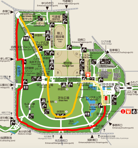 光が丘公園 トレラン