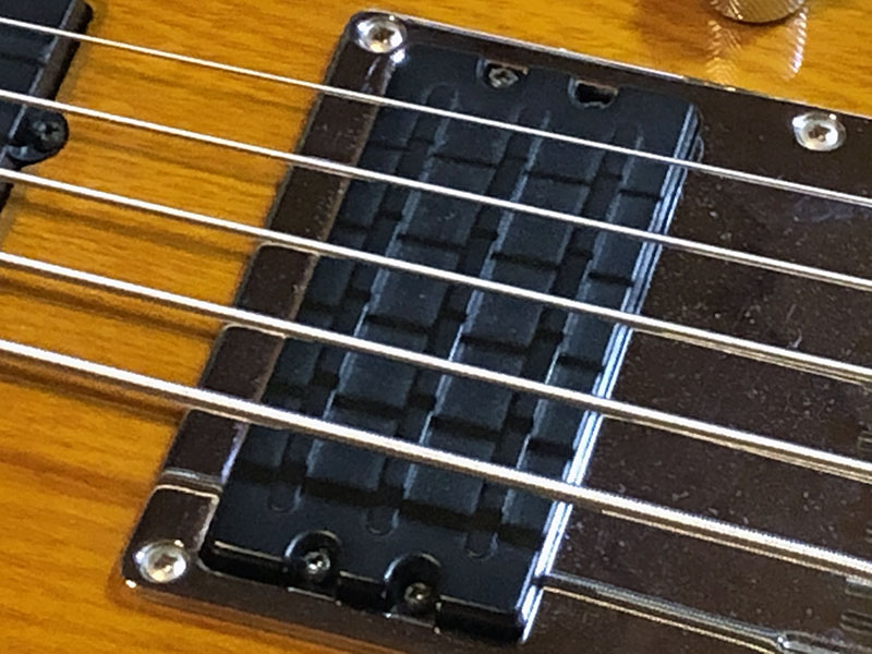 Ibanez 5弦 エレキベース ATK405 Ibanez ATK-405 Fretless - Something So Right