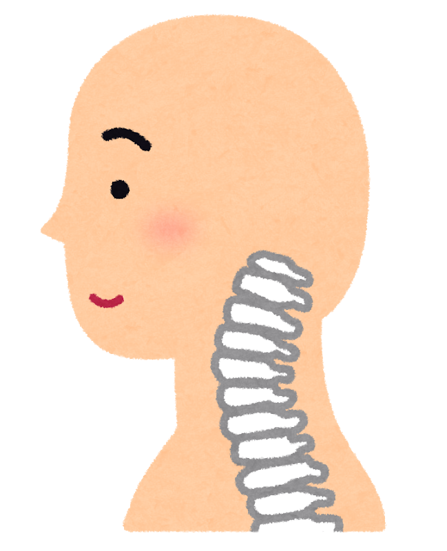 頚椎を横からみたイラスト