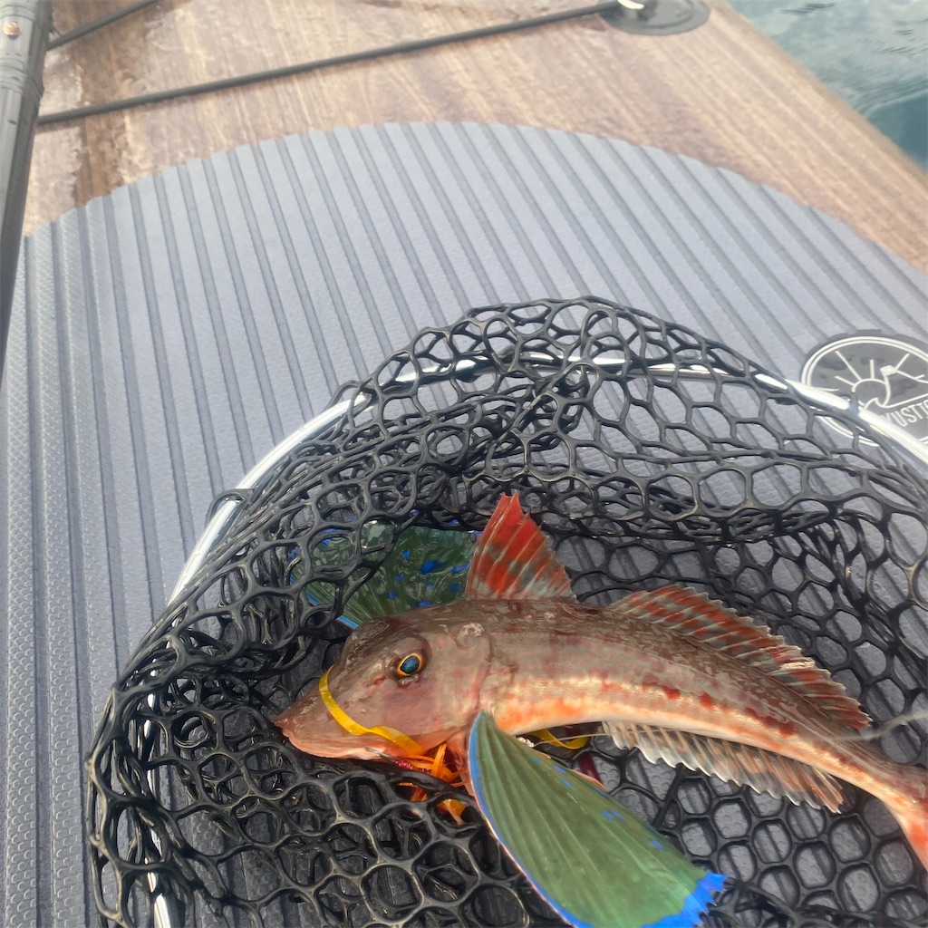 f:id:smellofthesea:20221214152623j:image f:id:smellofthesea:20221214152623j:image